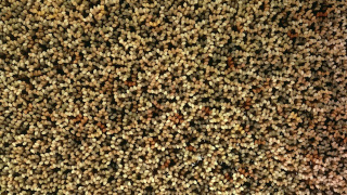Illustration for article titled 180,000 Tiny People Are Holding Up This Floor